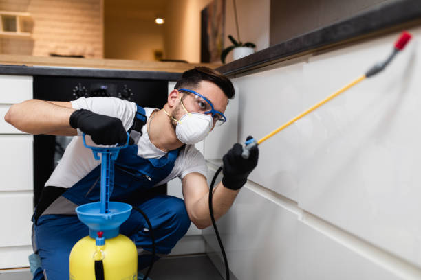 Best Local Pest Control Services  in Heyville, AL