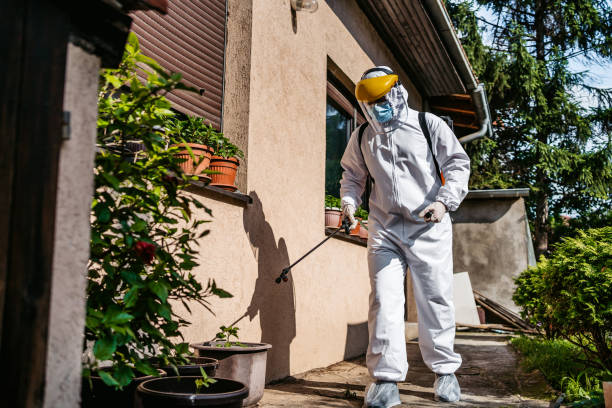 Best Pest Inspection Near Me  in Heyville, AL