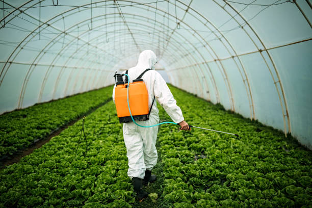 Best Best Pest Control Companies  in Heyville, AL
