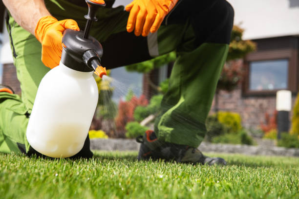 Pest Prevention Services in Haleyville, AL