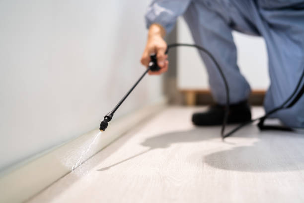 Best Pest Prevention Services  in Heyville, AL
