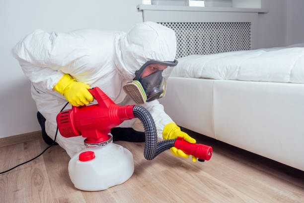 Best Affordable Pest Control Services  in Heyville, AL