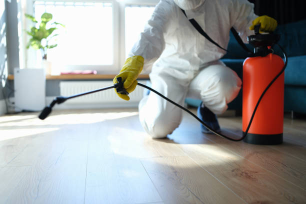 Best Affordable Pest Control Services  in Heyville, AL