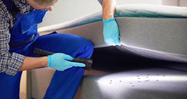 Best Pest Removal Services  in Heyville, AL
