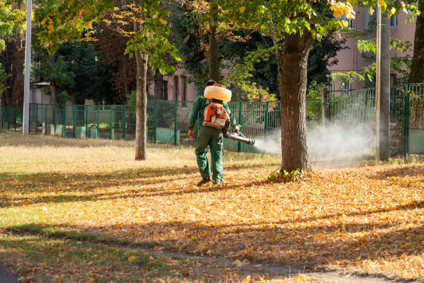 Best Local Pest Control Services  in Heyville, AL