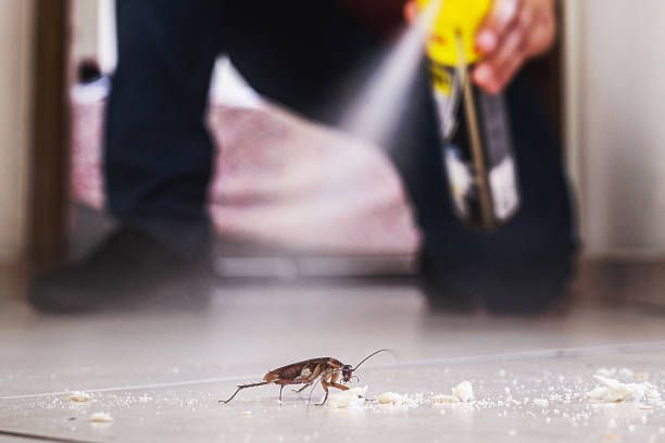 Haleyville, AL Pest Control Company
