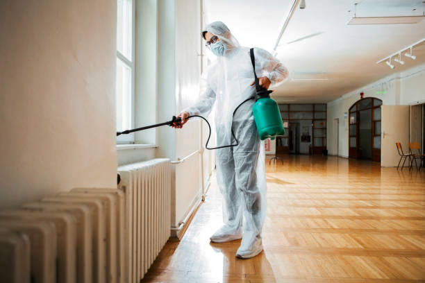 Best Pest Control Near Me  in Heyville, AL