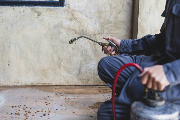 Best Emergency Pest Control  in Heyville, AL